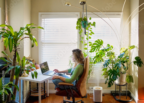 Working at home houseplant photo