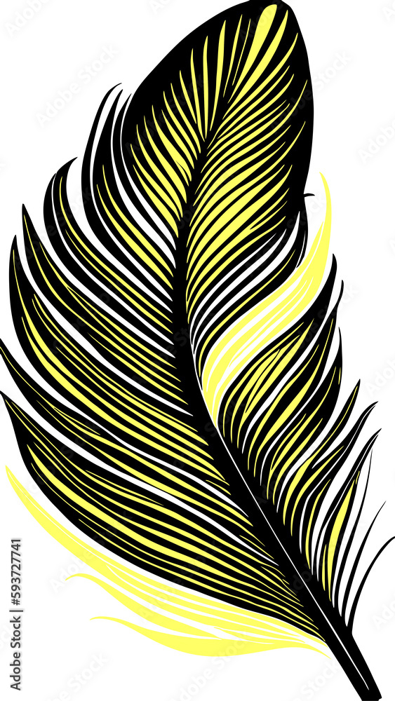 Fototapeta premium simple graphic drawing black and yellow bird feather, sketch, logo