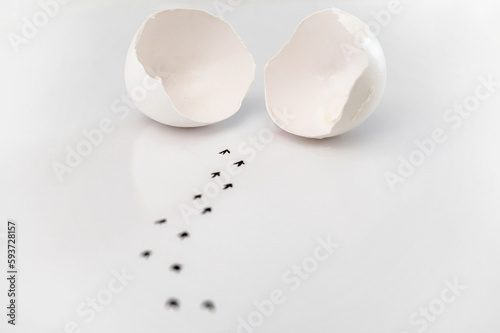 Symbolbild eines auseinandergebrochenen Ei zum Thema Geburt oder Freiheit