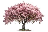 Pink flowering tree on a white background. Generative ai.