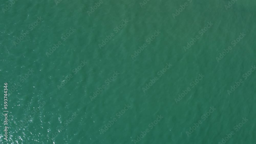 Praia Ilha Forte Floripa Paisagem Mar Oceano Natureza Viagem Turismo Fortaleza Ondas Água Areia Mole Joaquina Magia Viajar Férias História Colonial Costa Costeiro Costão Drone Santa Catarina Brasil Praia Ilha Forte Floripa Paisagem Mar Oceano Natureza Viagem Turismo Fortaleza Ondas Água Areia Mole Joaquina Magia Viajar Férias História Colonial Costa Costeiro Costão Drone Santa Catarina Brasil