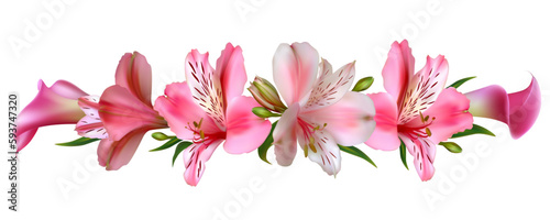 Lilies. Background. Bouquet. Buds. Green leaves. Beautiful pink flowers. © Nataliia