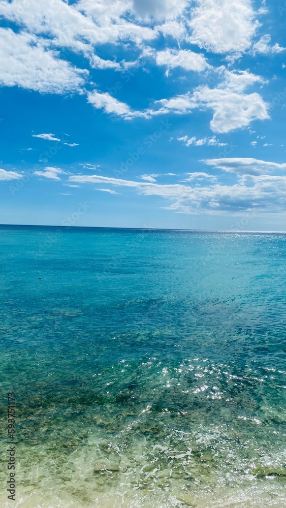 Fototapeta premium Naturaleza y mar