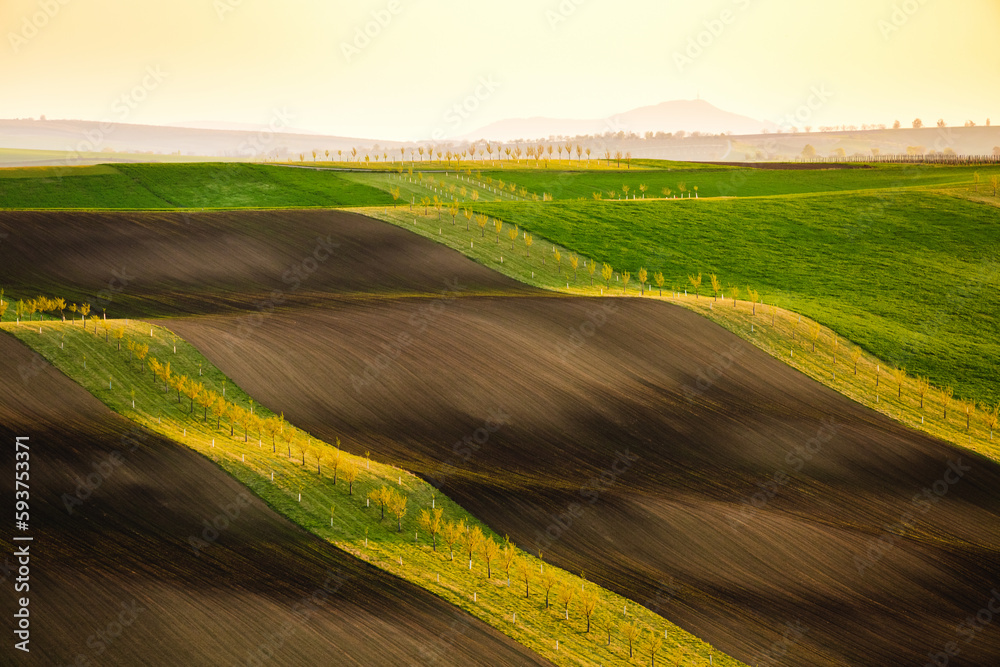 Idyllic undulating fields and cultivated land in the evening sun. South Moravia region, Czech Republic, Europe.