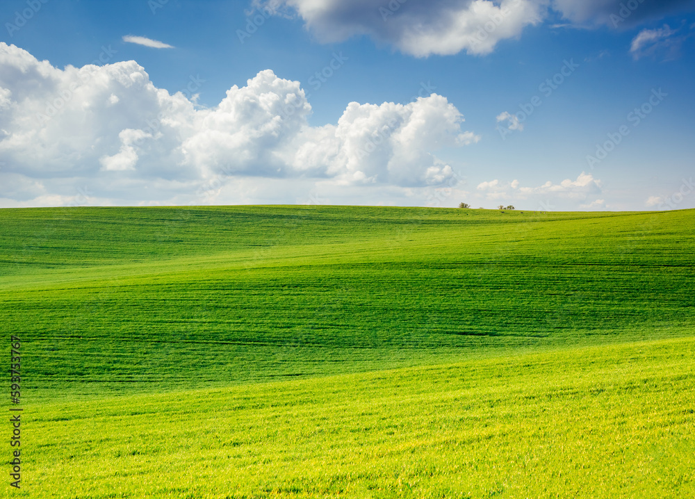 Gorgeous undulating green fields and cultivated land on a sunny day. South Moravia region, Czech Republic, Europe.