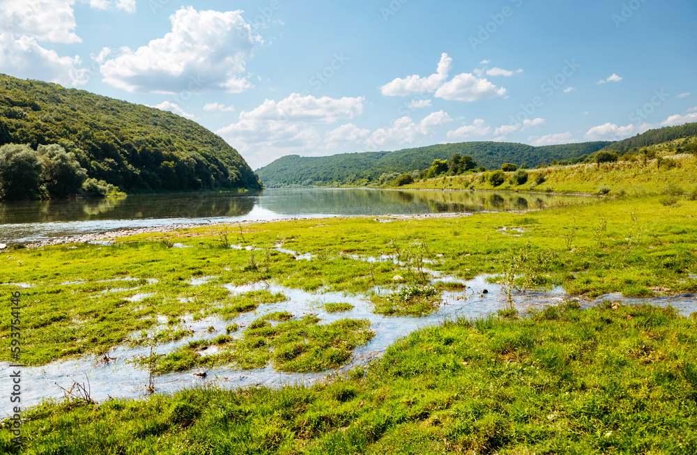 Fototapeta premium A wonderful view of a green meadow near the river on a sunny day.