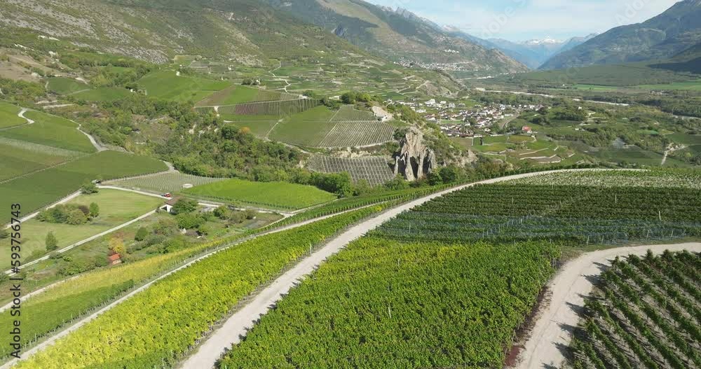 aerial view of terraced vineyards in the swiss Valais canton