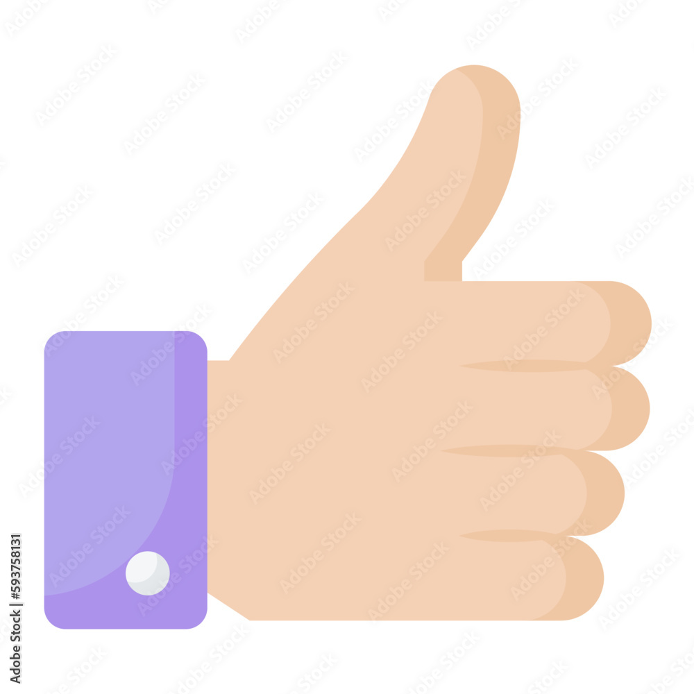 Best Choice Flat Icon Best Choice Flat Icon