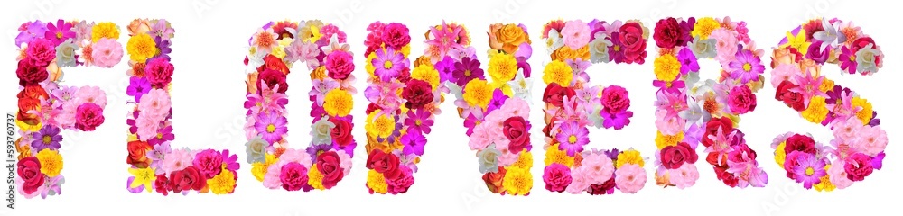 word flowers with various colorful flowers