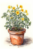 Botanical Watercolor Illustration of Rock Rose in Pot. Generative AI