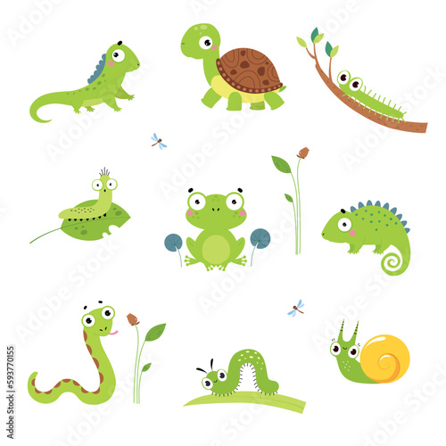 Happy Green Animals with Turtle  Frog  Snake  Iguana and Chameleon Vector Set