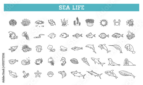 Set of sea life icons. Vector outline symbols