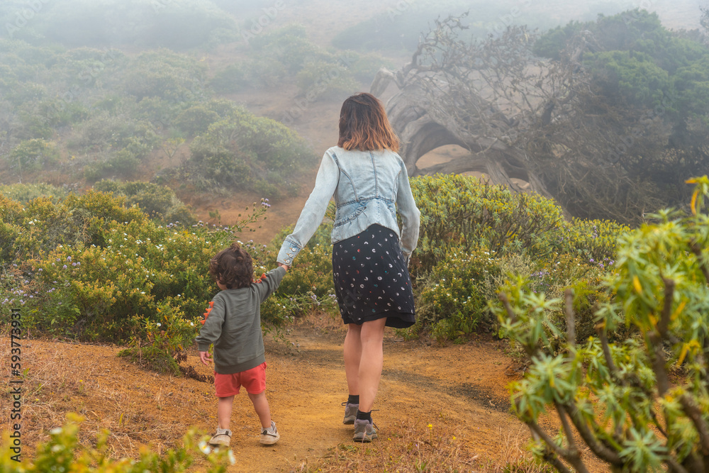 Fototapeta premium Mother and son walking with flowers to a Sabinar tree twisted by the wind of El Hierro. Canary Islands