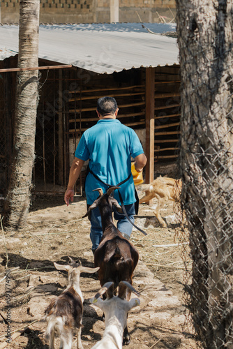 A man walking in a barnyard.