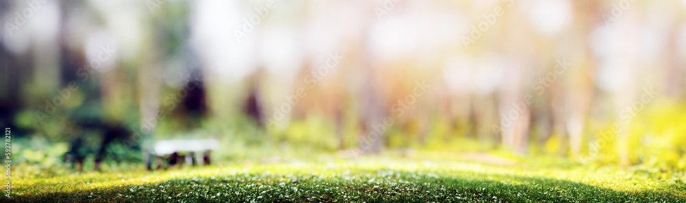 Fototapeta premium Forest bokeh panorama