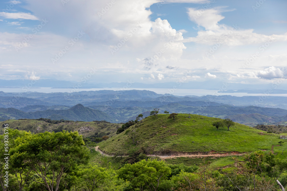 Nature Monteverde Tree Summer rural mountain Landscape  Costa Rica 