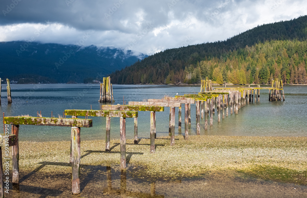 Broken Pier or bridge. Old wooden pillars of broken pier at Barnet Marine Park British Columbia.