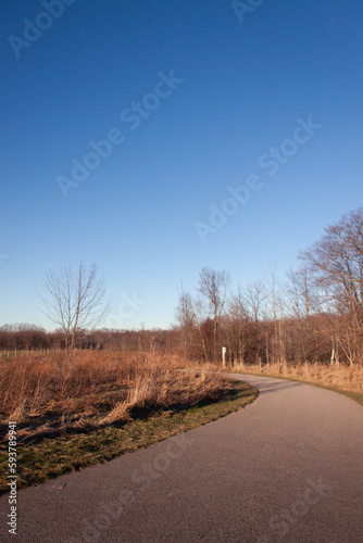 Path under a clear vibrant blue sky