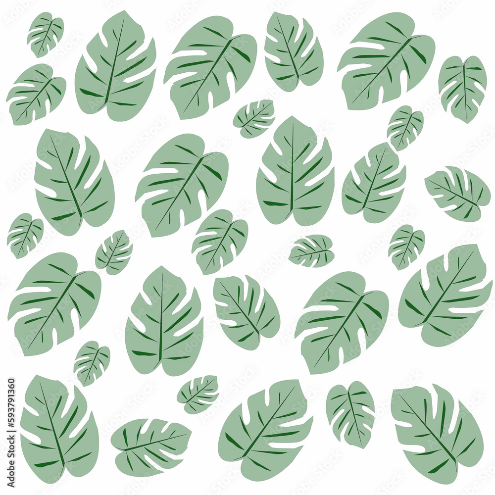 monstera leaves pattern