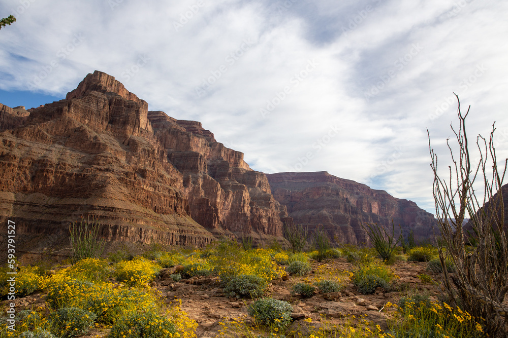 Bottom of the Grand Canyon