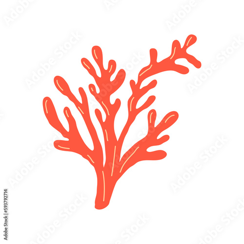 Elements of botany underwater marine plants, flora. Algae and corals. Design of a summer banner, poster. Isolated vector flat illustration.