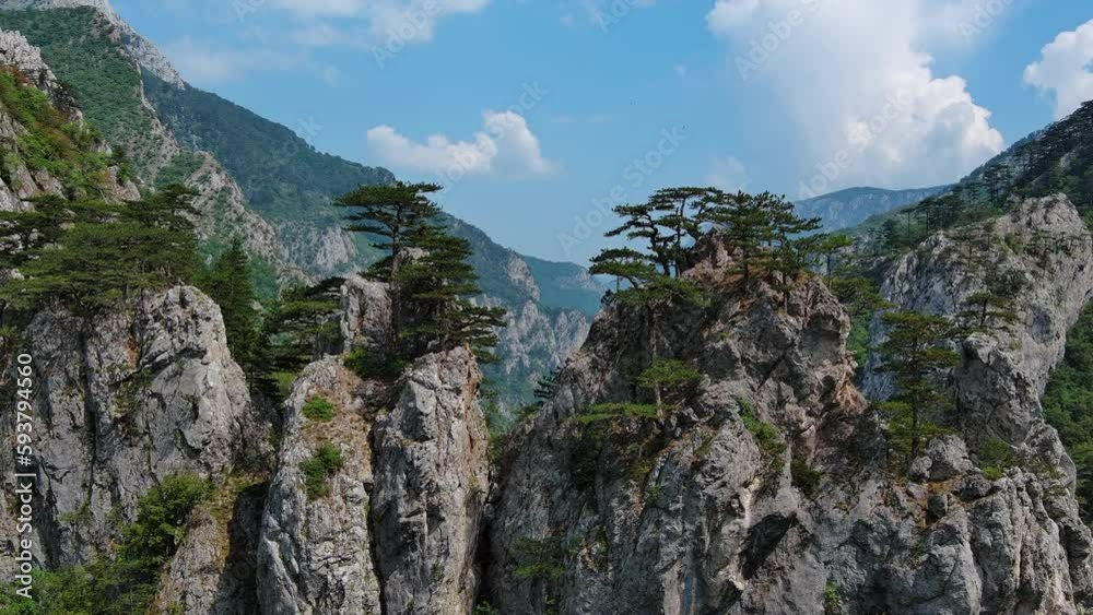 Beautiful mountains landscape. Aerial view of pine tree on the rocks in Bosnia and Hercegovina, 4k Beautiful mountains landscape. Aerial view of pine tree on the rocks in Bosnia and Hercegovina, 4k