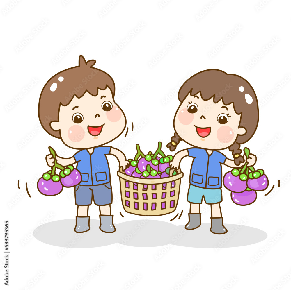 Set Mangosteen on Background Vector.