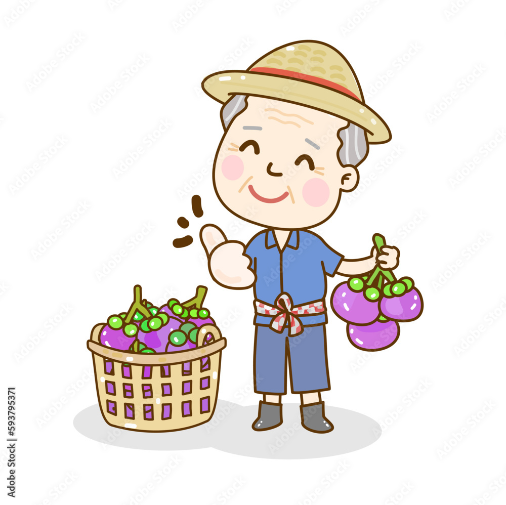 Set Mangosteen on Background Vector.