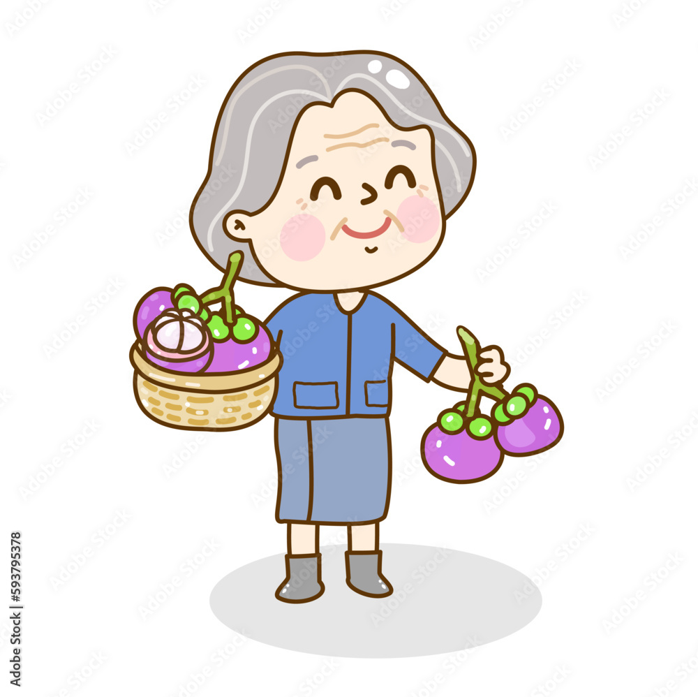 Set Mangosteen on Background Vector.