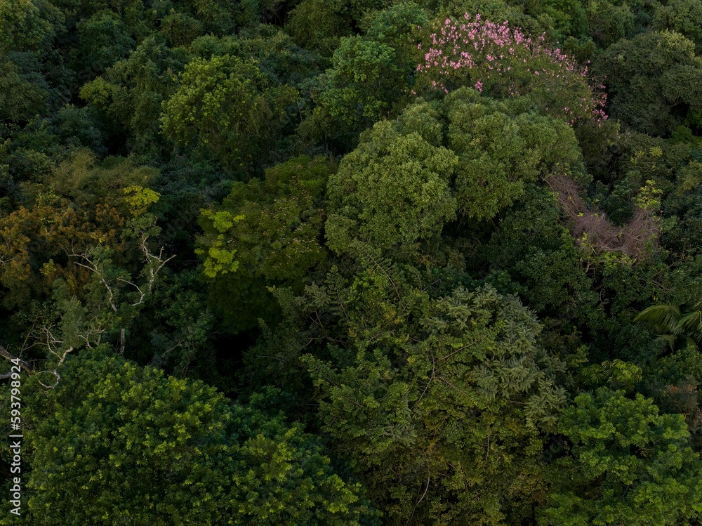 Imagem aérea de um vale na cidade de Socorro, no interior de São Paulo