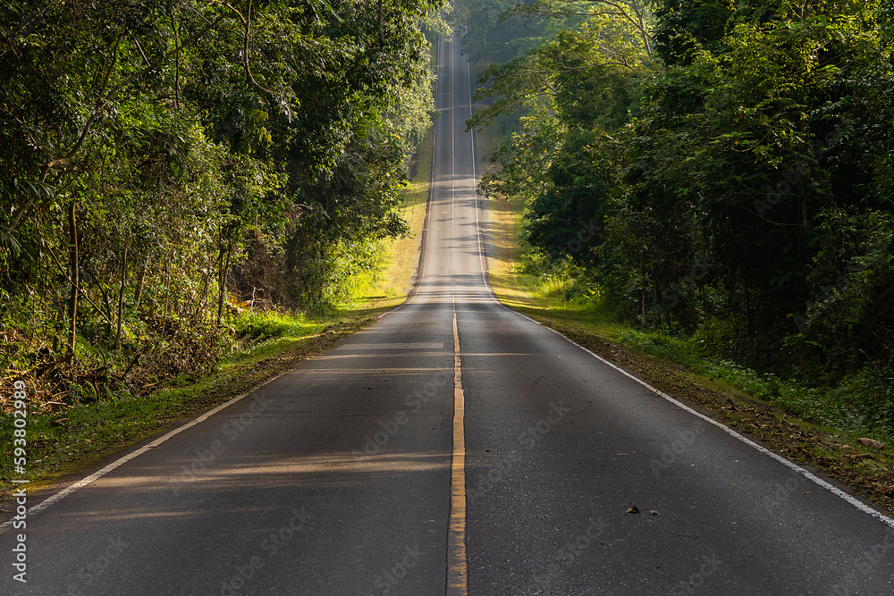 Obraz premium Road in the middle of the forest and ascending to the top of the hill. in Khao Yai National Park, Thailand.