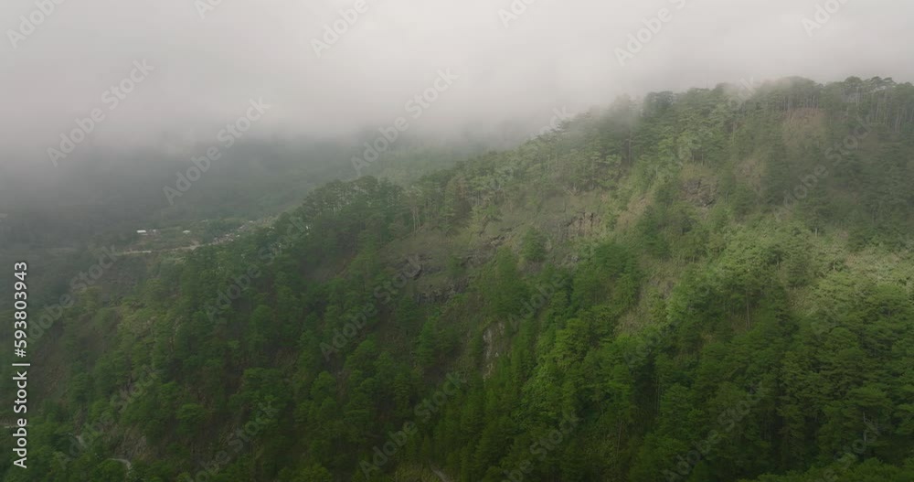 Aerial view of mountains with rainforest and jungle in the mountainous province of Philippines. Aerial view of mountains with rainforest and jungle in the mountainous province of Philippines.