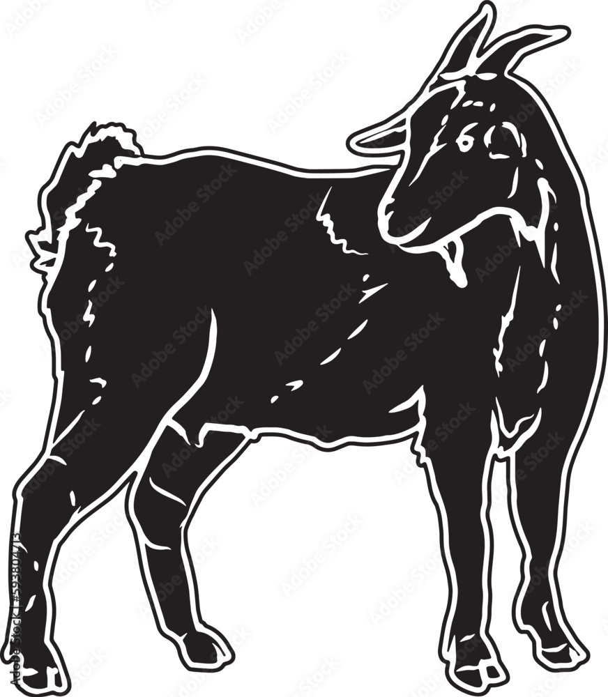 Myotonic Tennessee Sketch Vector