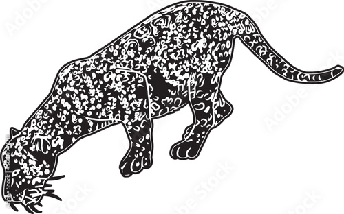 Jaguar Sketch Vector