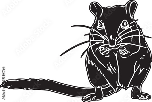 Gerbil Sketch Vector