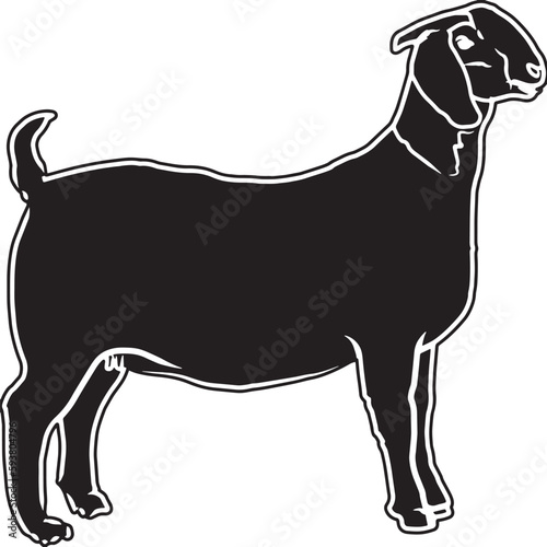 Boer Goat Sketch Vector