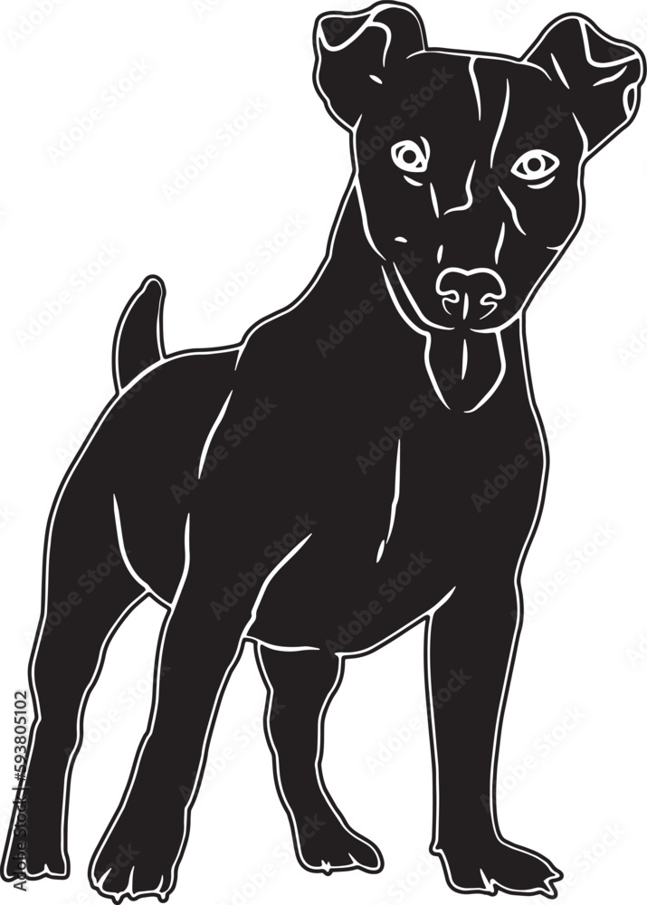 Jack Russel Terrier Sketch