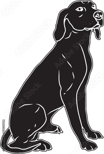 Coonhound Sketch