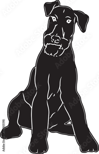 Airedale Terrier Sketch