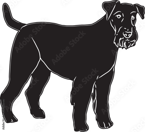 Airedale Terrier Sketch
