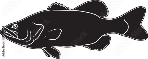 Large Mouth Bass Hand sketched, hand drawn vector clipart