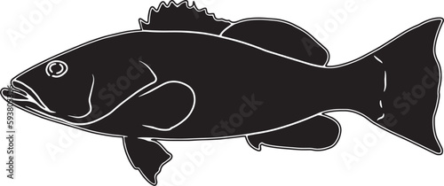 Gag Grouper Hand sketched, hand drawn vector clipart