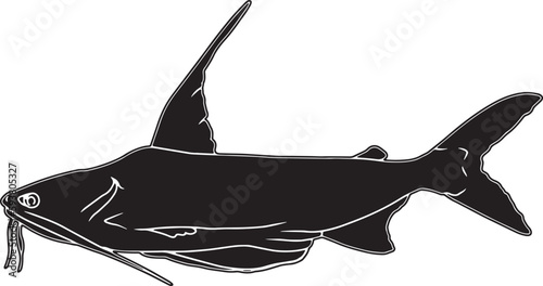 Gafftopsail Catfish Hand sketched, hand drawn vector clipart