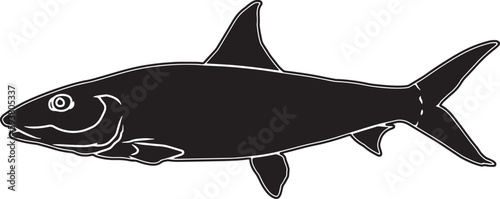 Bonefish Hand sketched, hand drawn vector clipart