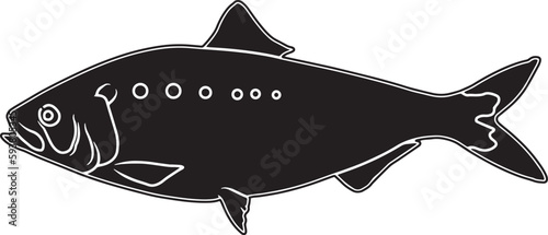 American Shad Hand sketched, hand drawn vector clipart