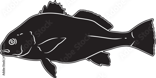 Black Drum Hand sketched, hand drawn vector clipart photo