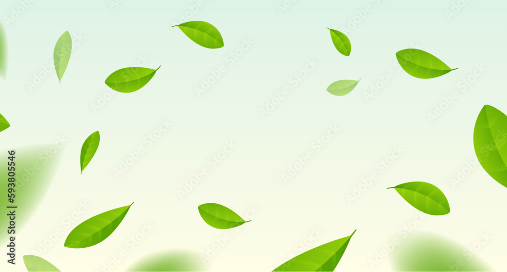 Green tea vector background mint eco illustration. Organic green tea flying leaf fresh concept Green tea vector background mint eco illustration. Organic green tea flying leaf fresh concept