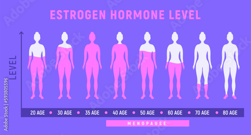 Estrogen menopause hormone woman level. Female estrogen sexual cycle level concept
