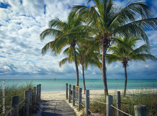 beach with palm trees
