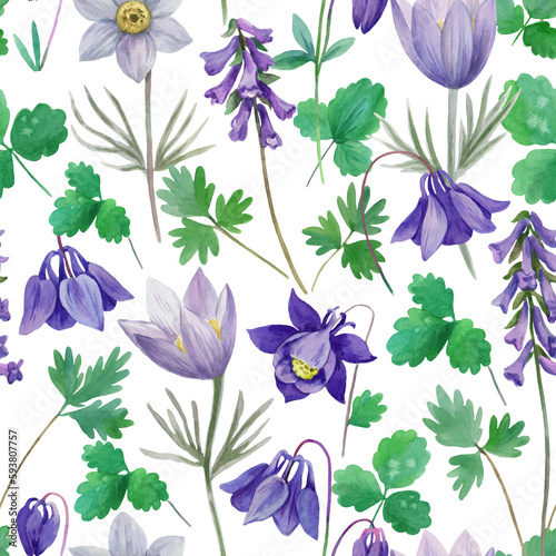 Watercolor seamless pattern with blue aquilegia and pasque spring flowers.